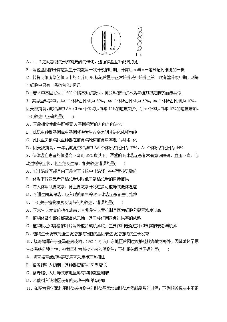 2020届山东省潍坊一中高三高考模拟（一）生物试题02