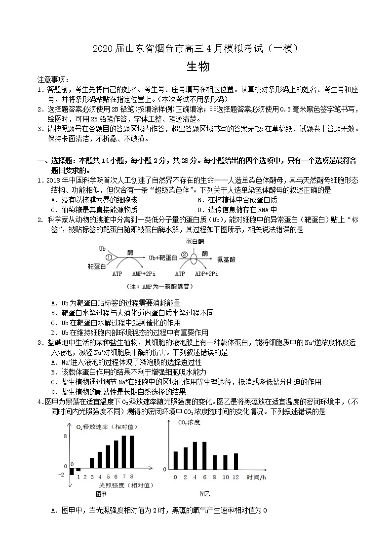 2020届山东省烟台市高三4月模拟考试（一模）生物试题01