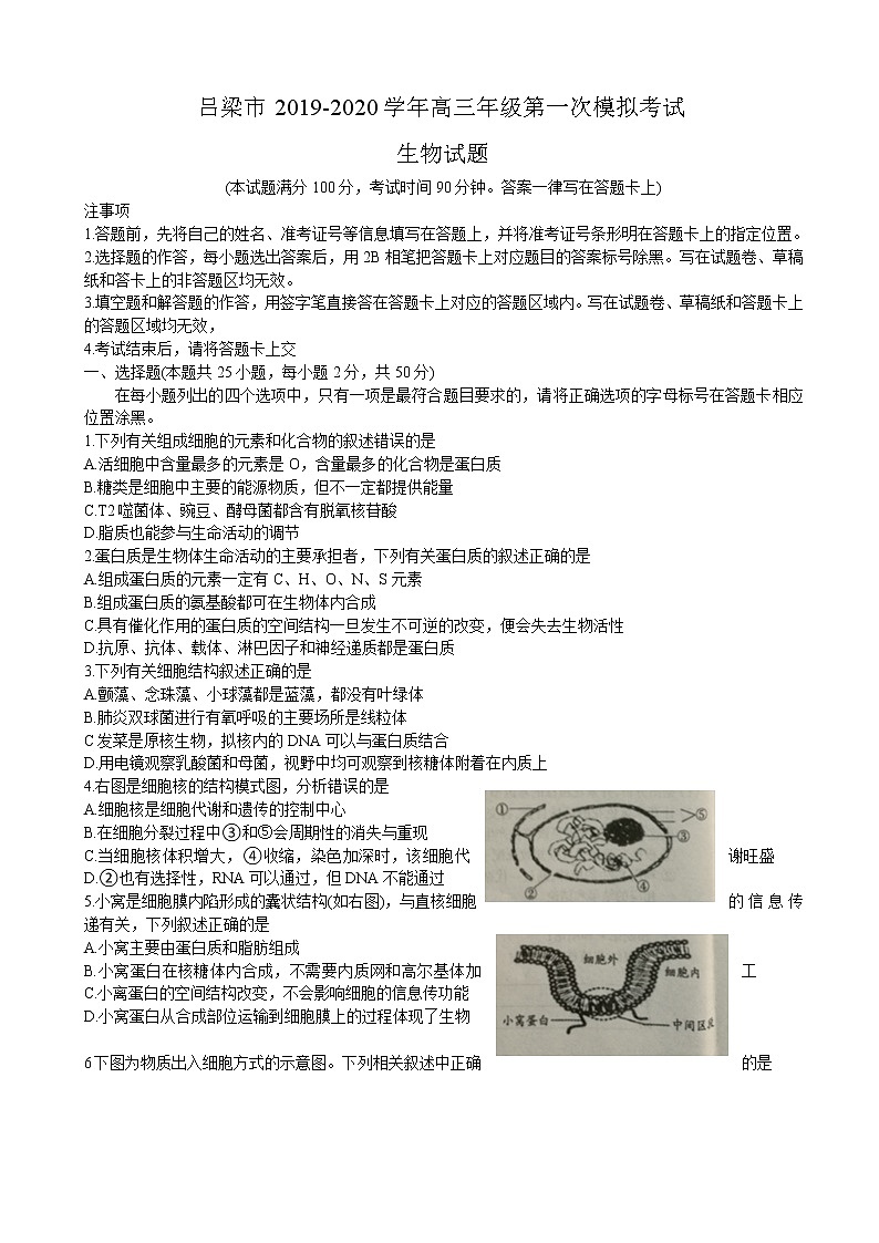 2020届山西省吕梁市高三上学期第一次模拟考试生物试题（解析版）01