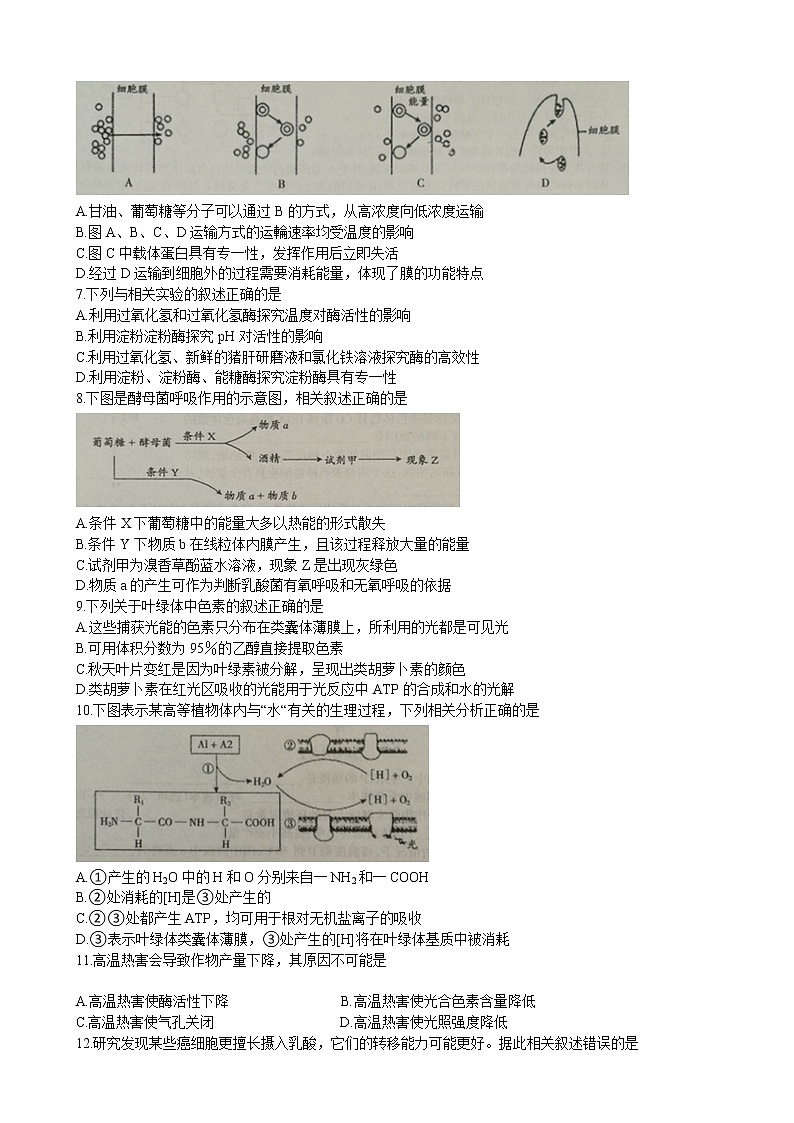 2020届山西省吕梁市高三上学期第一次模拟考试生物试题（解析版）02
