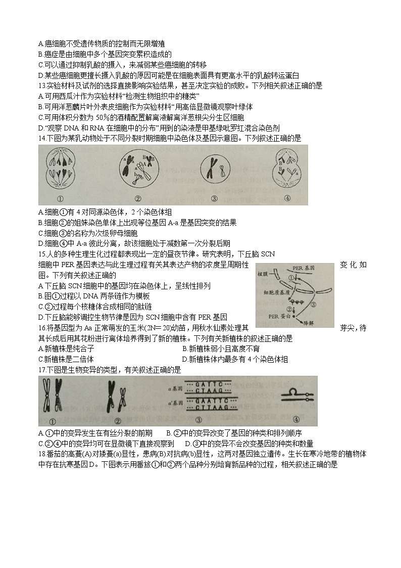 2020届山西省吕梁市高三上学期第一次模拟考试生物试题（解析版）03