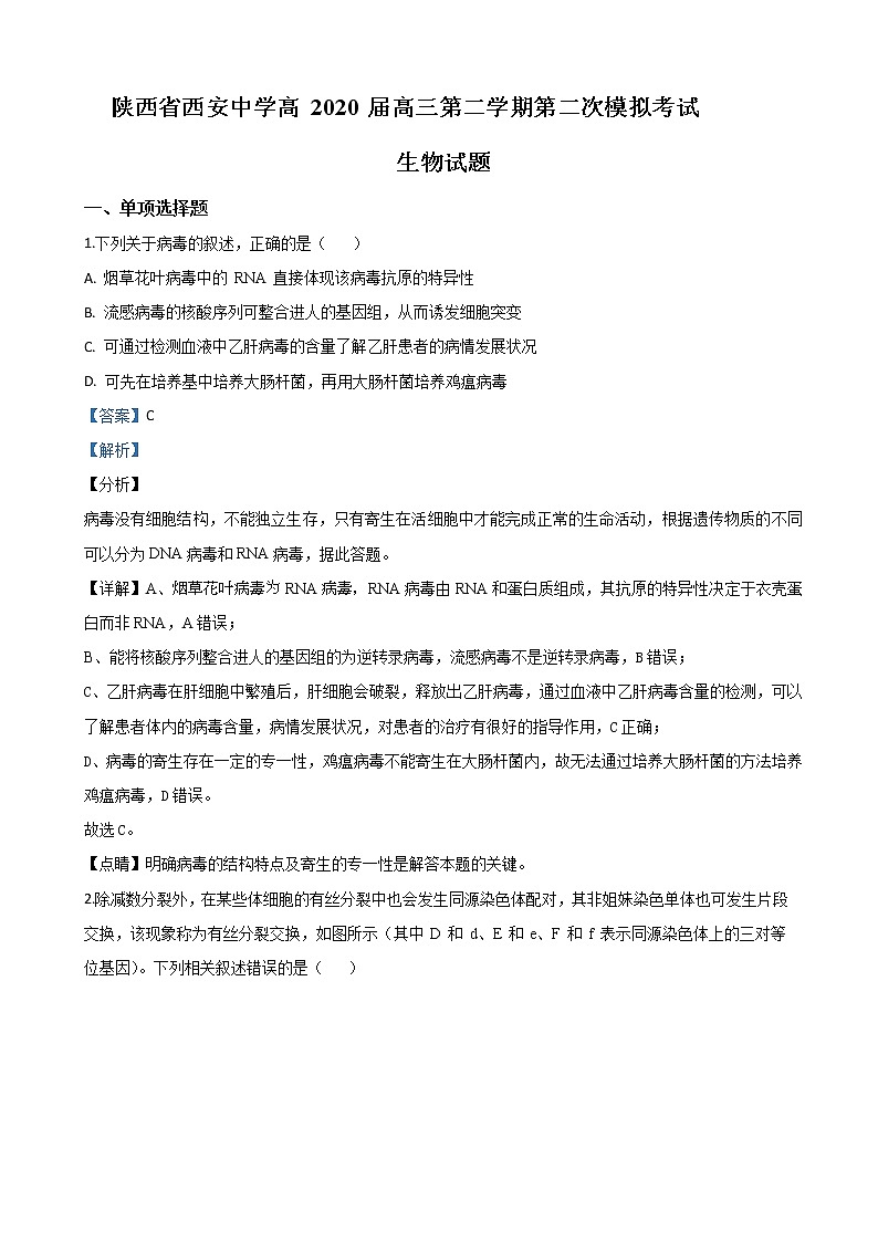2020届陕西省西安中学高三上学期第二次模拟考试生物试题（解析版）01