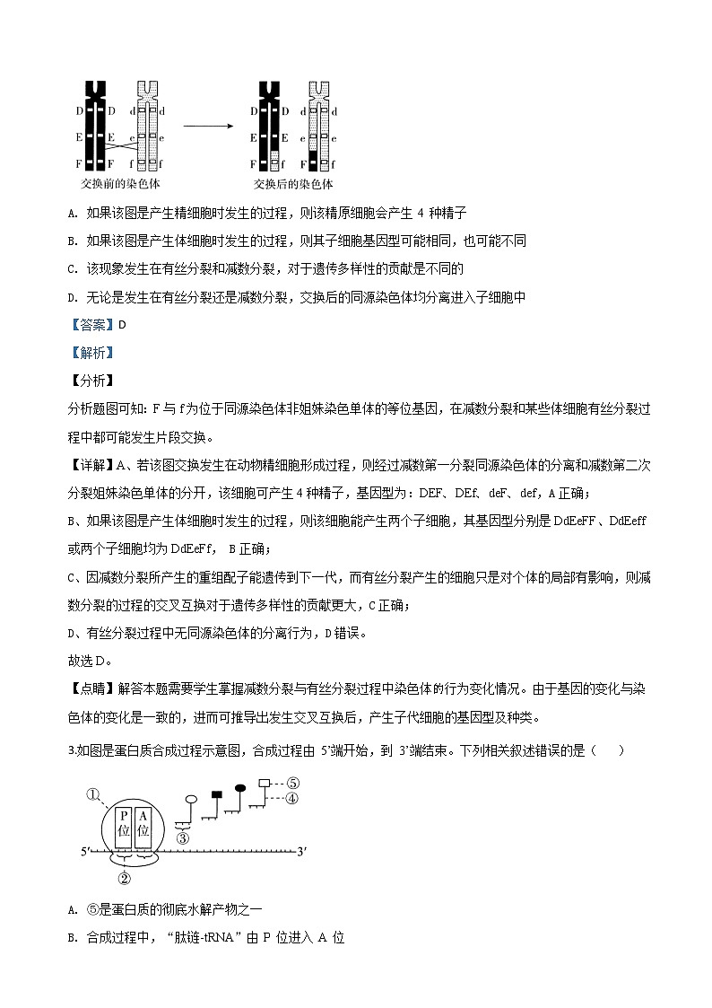 2020届陕西省西安中学高三上学期第二次模拟考试生物试题（解析版）02