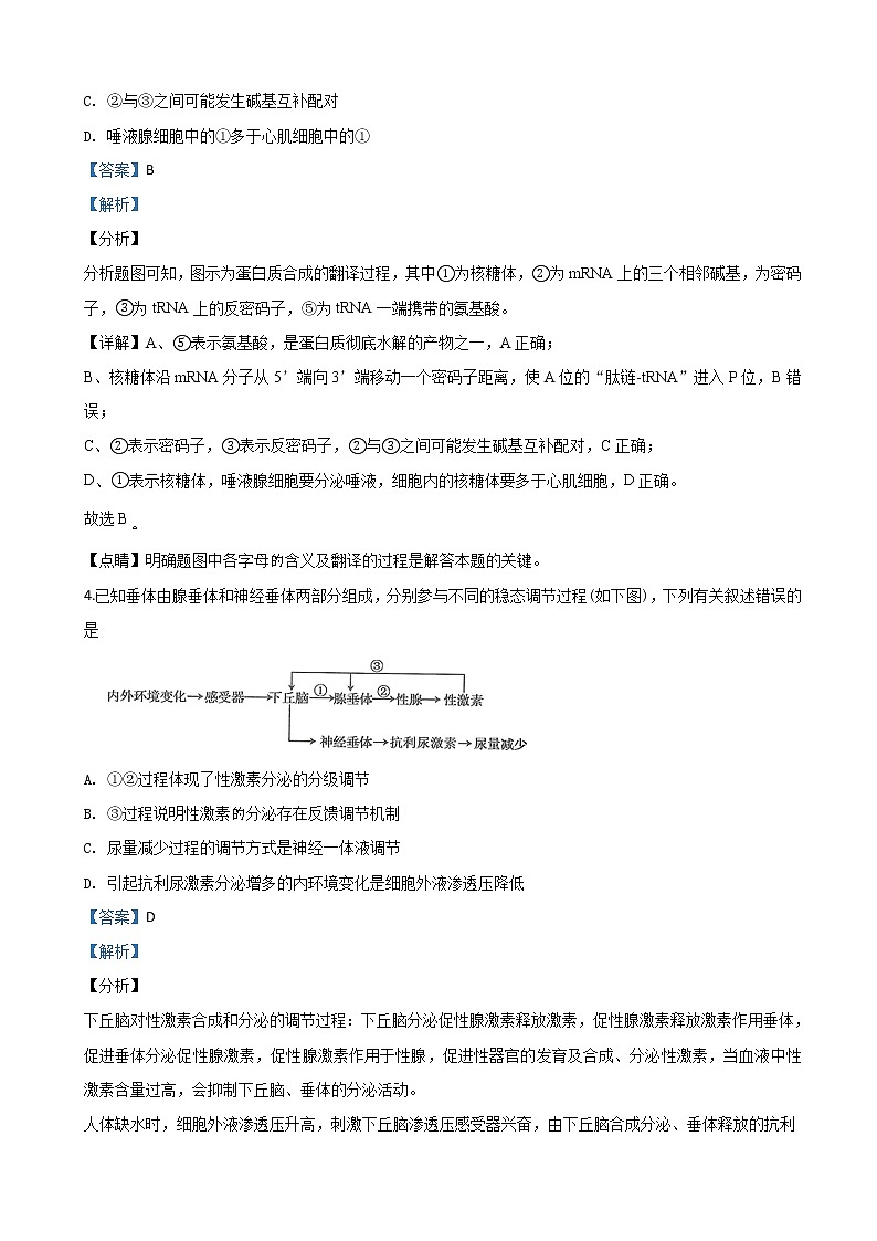 2020届陕西省西安中学高三上学期第二次模拟考试生物试题（解析版）03