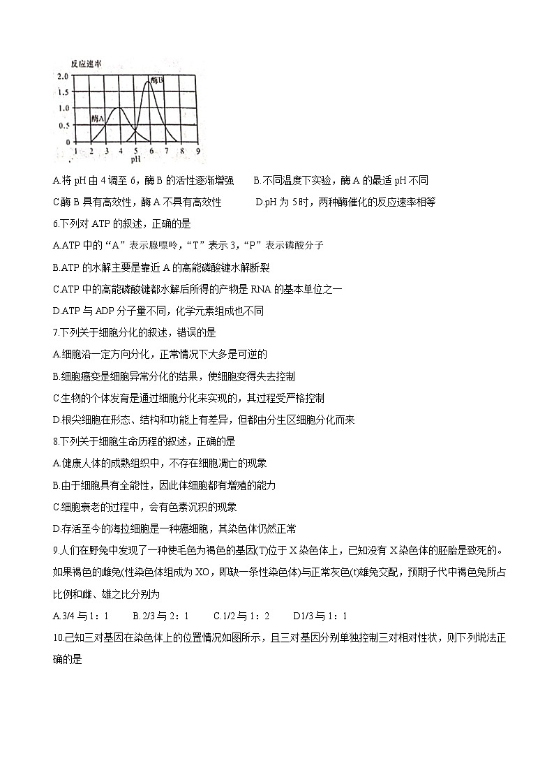2020届陕西省咸阳市武功县高三上学期第一次模拟考试 生物第2页