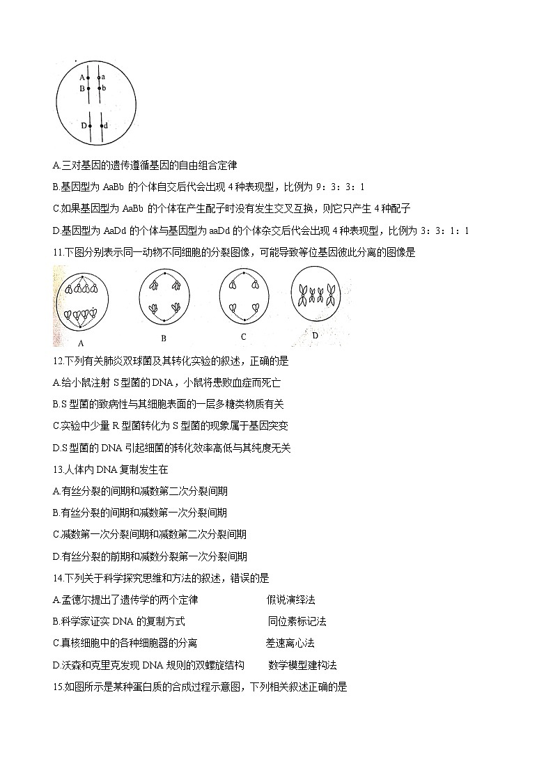 2020届陕西省咸阳市武功县高三上学期第一次模拟考试 生物第3页