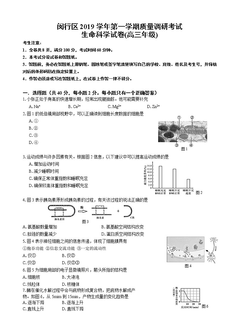 2020届上海市闵行区高三上学期质量调研考试（一模）生命科学试题01
