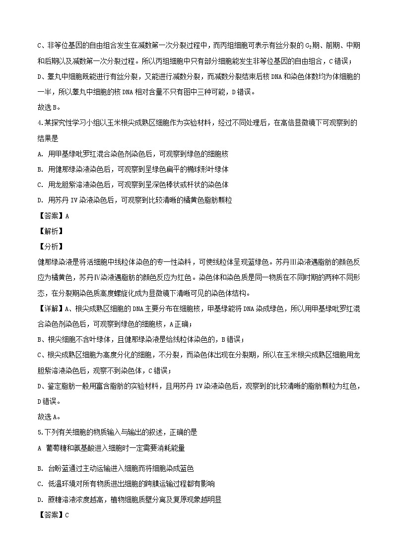 2020届四川省绵阳市高三第一次（11月）诊断性考试生物试题（解析版）03