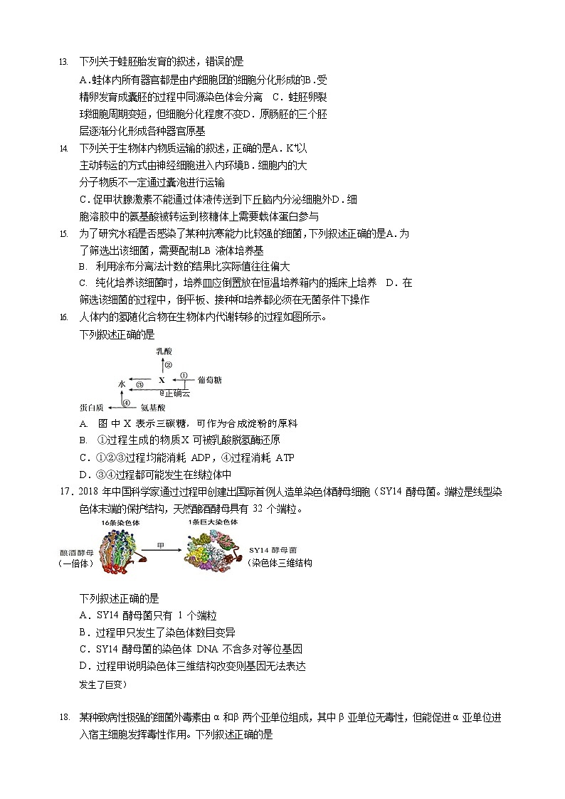 2020届浙江省杭州市高三上学期高考适应性考试生物试卷03