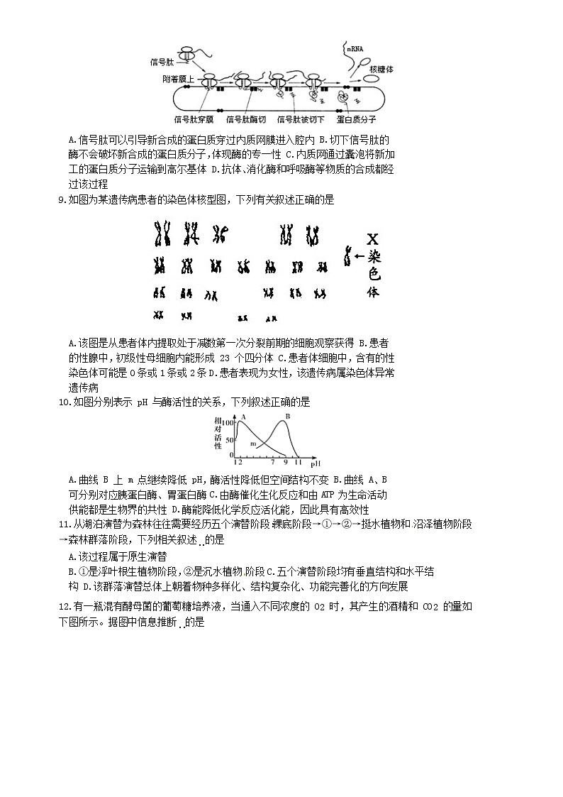 2020届浙江省宁波市效实中学高三上学期第一次模拟考试生物试题02