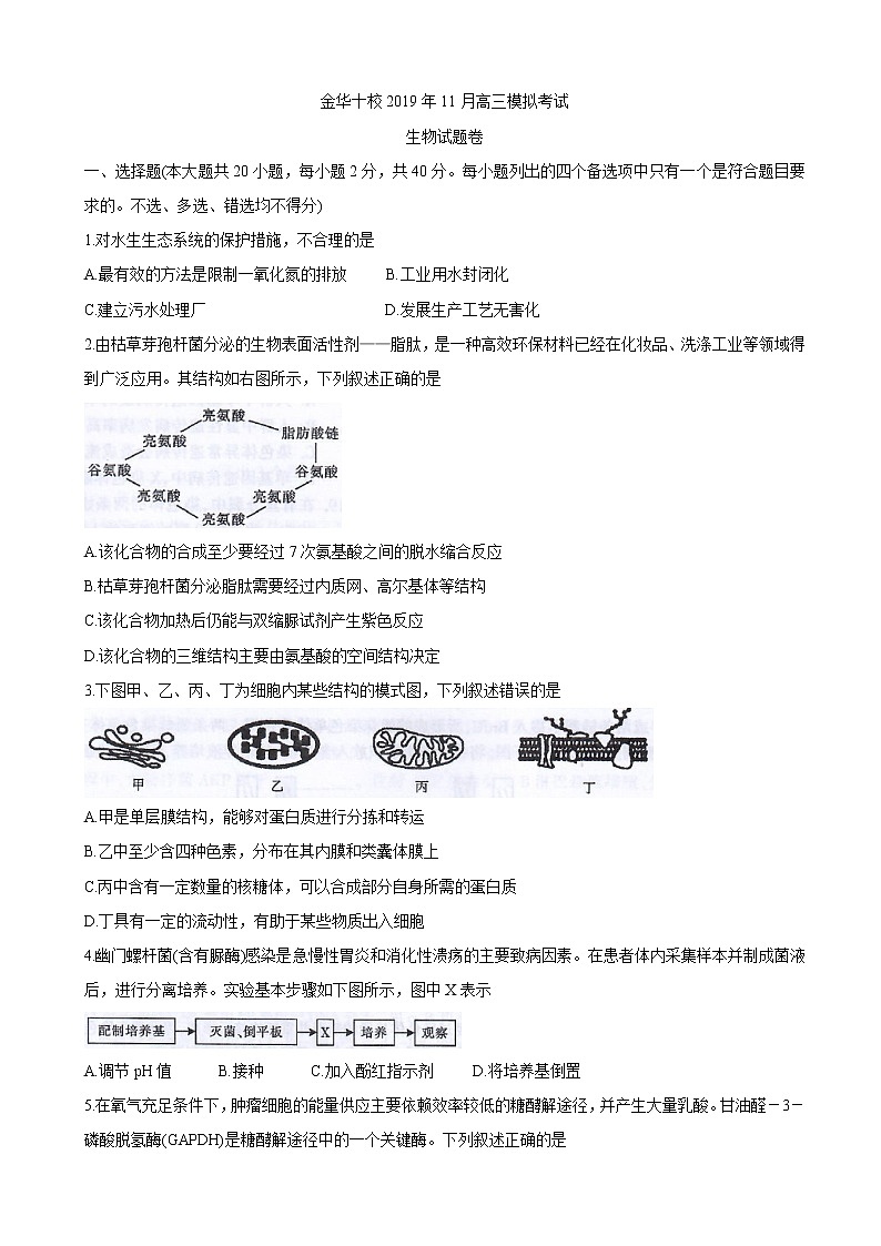 2020届浙江省金华市金华十校高三上学期11月模拟考试 生物01