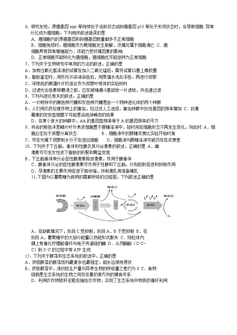 2020届浙江省七彩阳光高三下学期4月高考模拟生物试题02