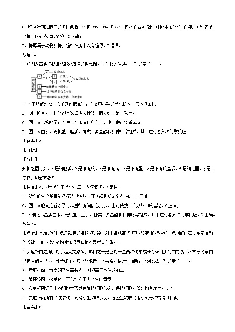 2020届重庆市巴蜀中学高三高考适应性考试（二）理综生物试题（解析版）02