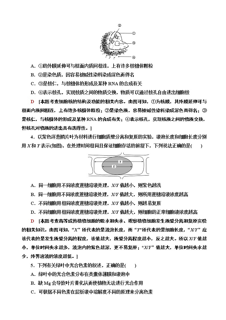 2020年全国普通高等学校招生统一考试生物模拟卷三（解析版）第2页
