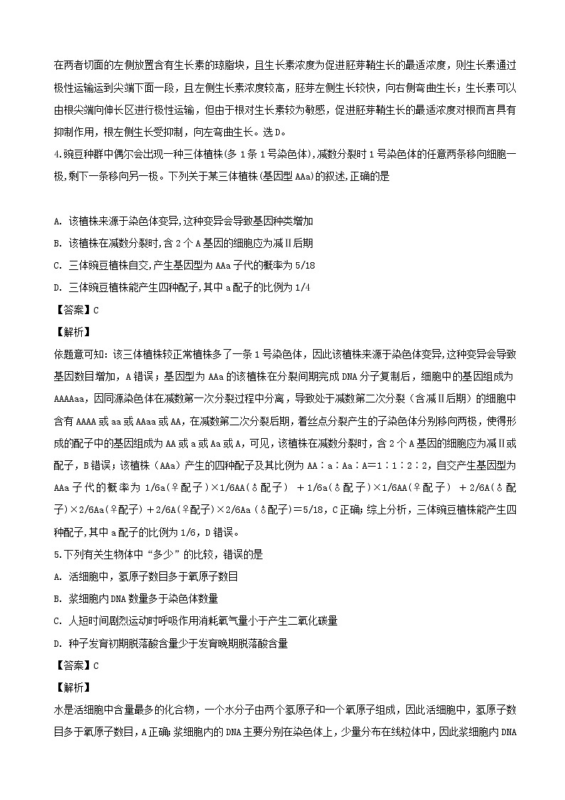 2019年河南省洛阳市高三模拟考试生物试题（解析版）03