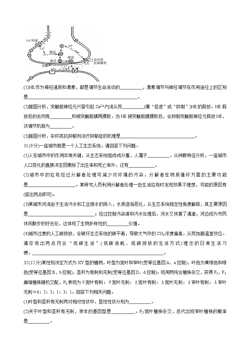 2020届百校联考高考百日冲刺金卷全国Ⅱ卷 生物（一）(解析版)03
