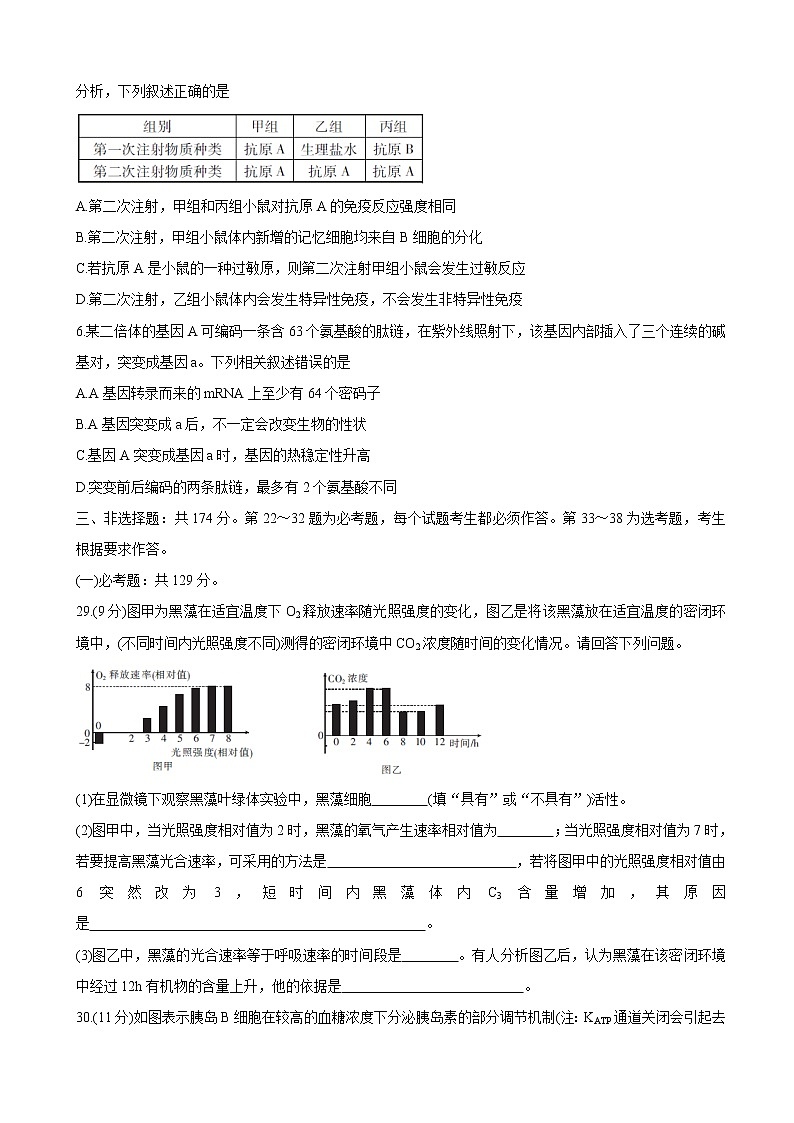 2020届广东省深圳市高三上学期第二次教学质量检测 生物（解析版）02
