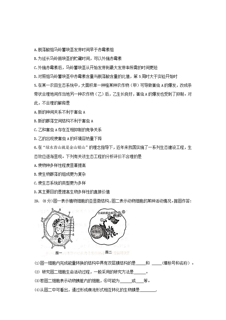 2020届广东省湛江市高三9月调研考试 生物02