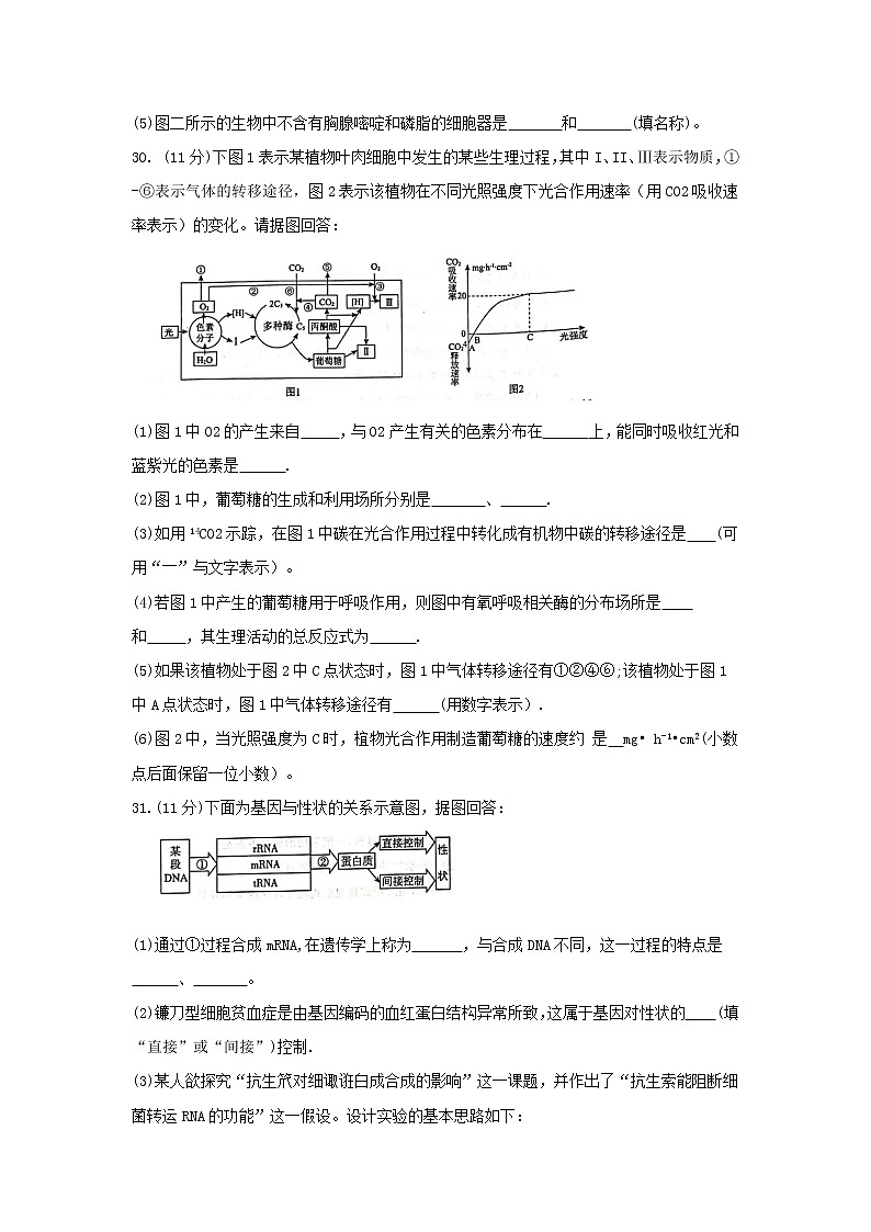 2020届广东省湛江市高三9月调研考试 生物03