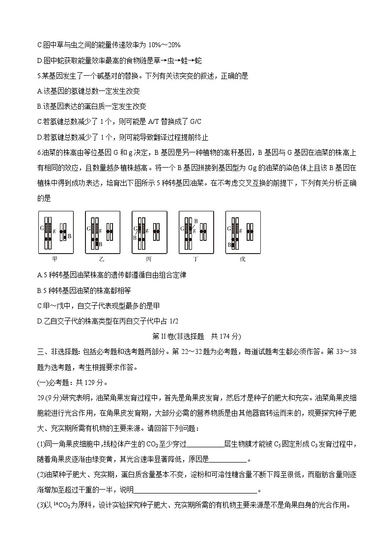2020届河南省驻马店市高三线上模拟测试（二） 生物（解析版）02