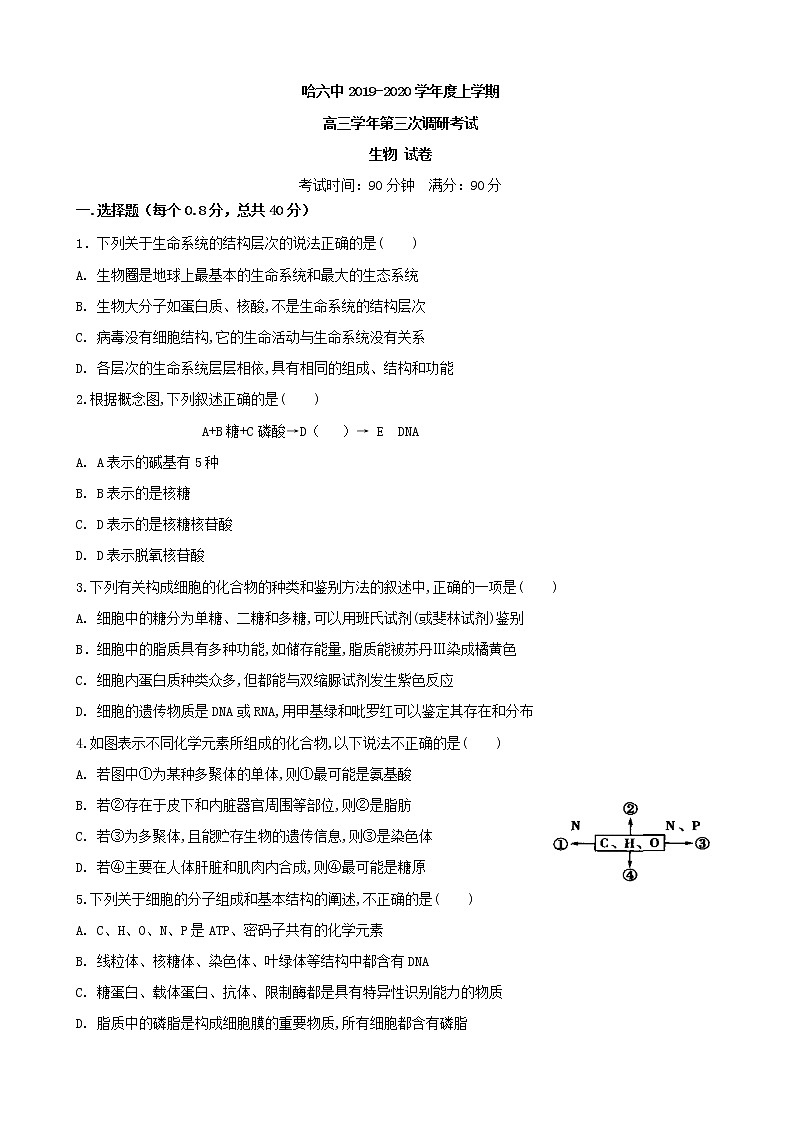 2020届黑龙江省哈尔滨市第六中学高三上学期第三次调研考试生物试题01