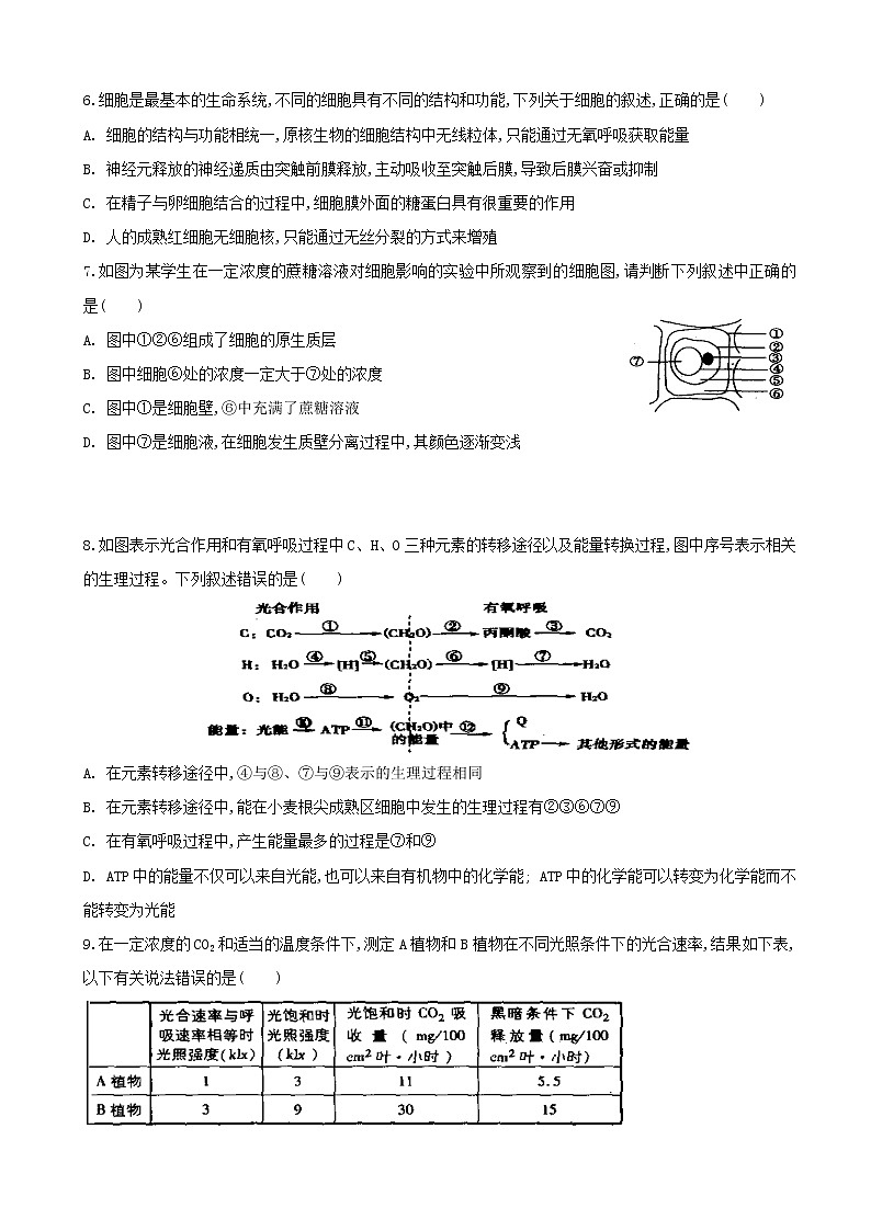 2020届黑龙江省哈尔滨市第六中学高三上学期第三次调研考试生物试题02