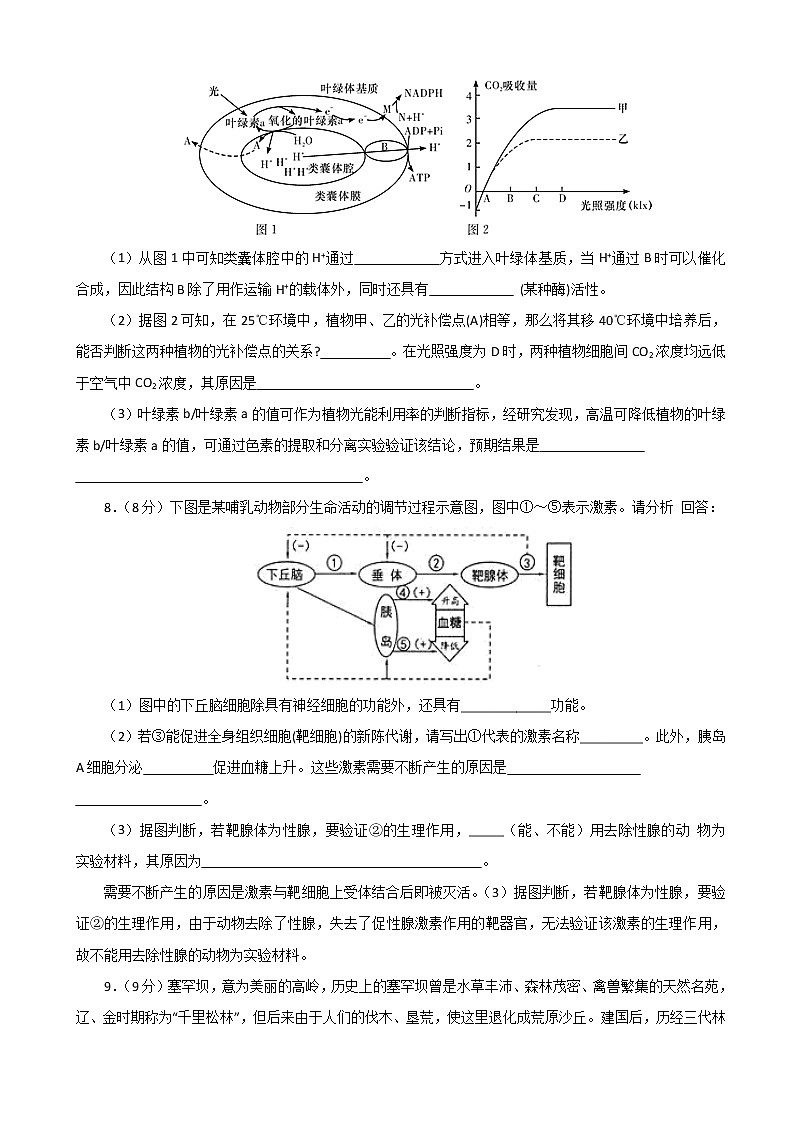 2020届湖北名师联盟高三上学期第一次模拟考试生物试题（解析版）第3页