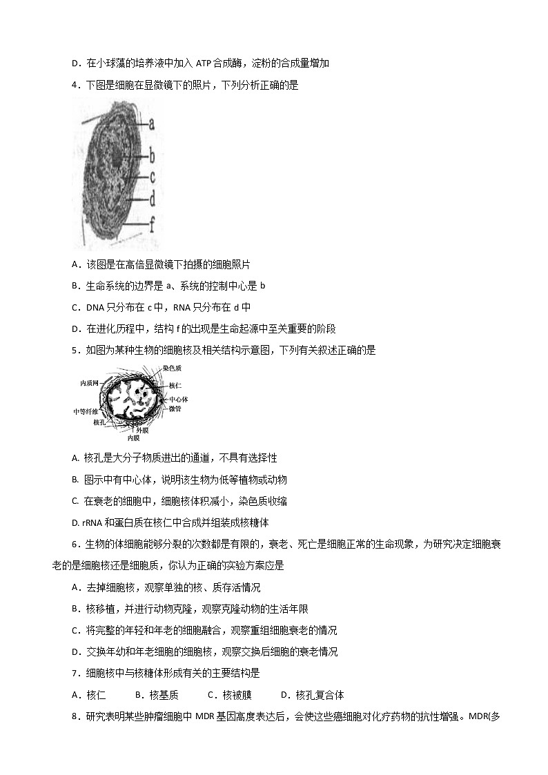 2020届湖北名师联盟高三上学期第一次月考（9月）仿真 生物（B卷）（解析版）02