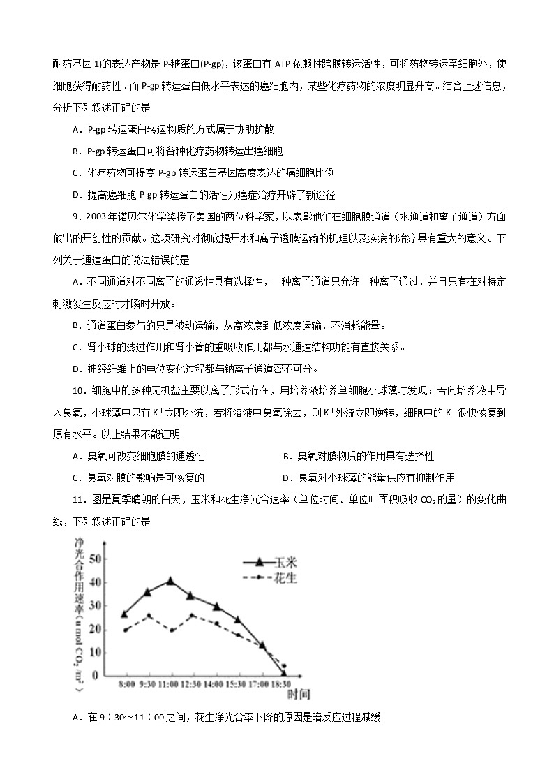 2020届湖北名师联盟高三上学期第一次月考（9月）仿真 生物（B卷）（解析版）03
