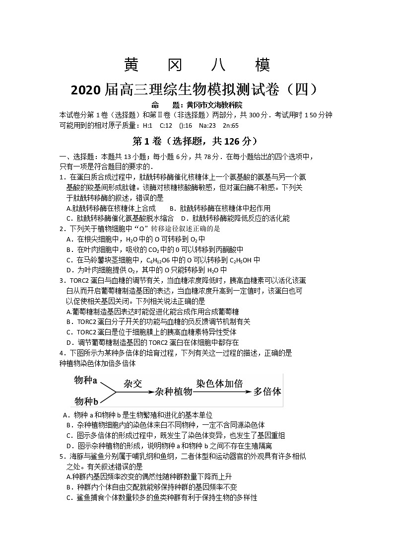 2020届湖北省黄冈八模高三模拟理综生物测试卷（四）（含解析）01