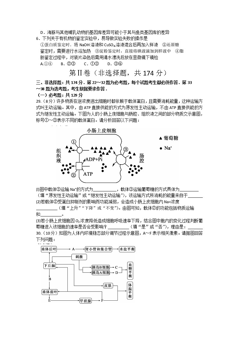 2020届湖北省黄冈八模高三模拟理综生物测试卷（四）（含解析）02