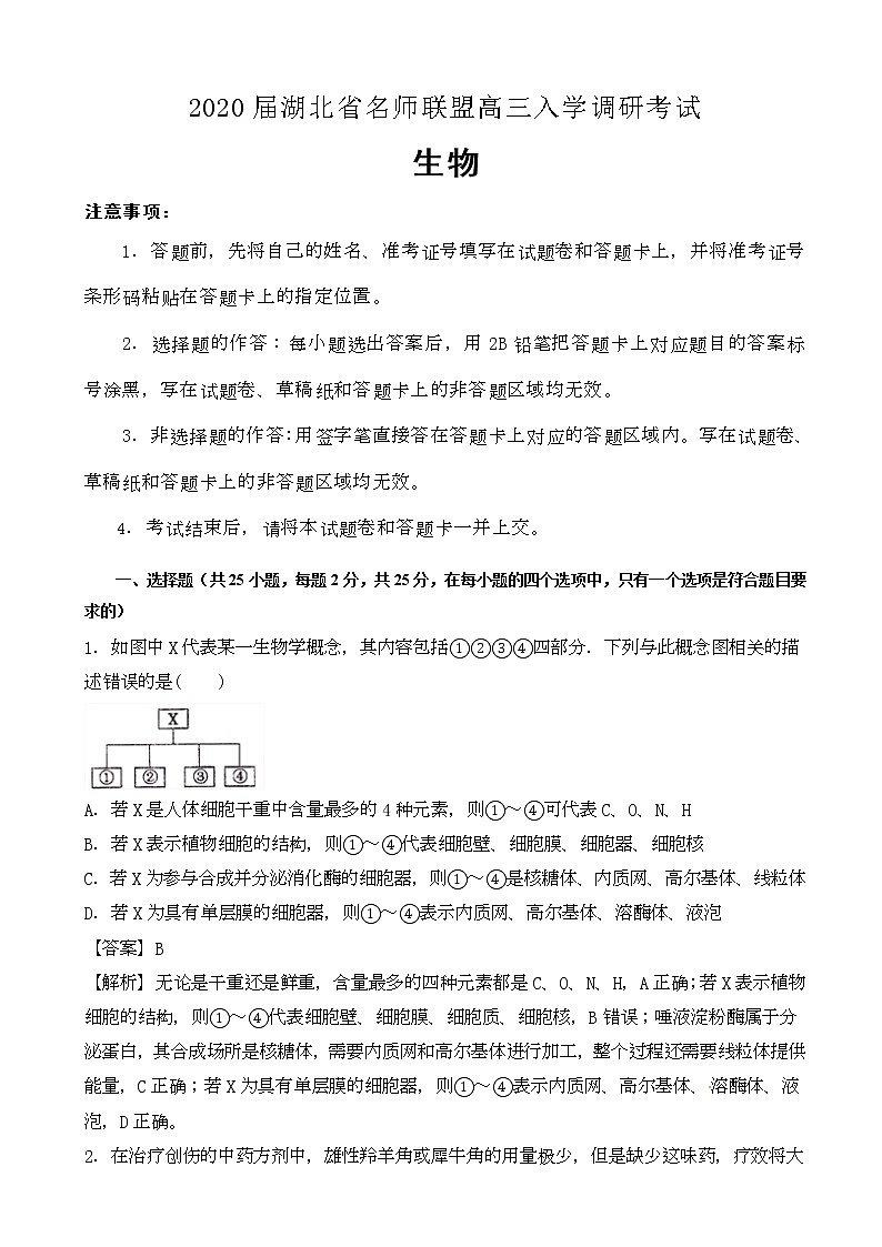 2020届湖北省名师联盟高三入学调研考试生物试题（解析版）01