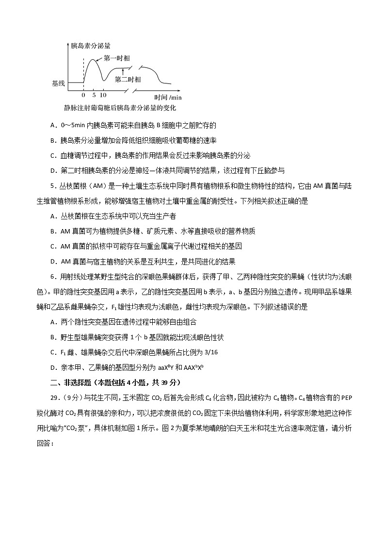 2020届湖北省名师联盟高三下学期4月月考仿真卷生物试题（解析版）02
