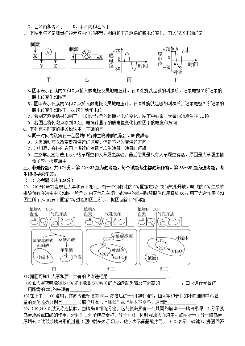 2020届湖北省随州市高三3月调研考试理综生物试题（纯word，解析版）02