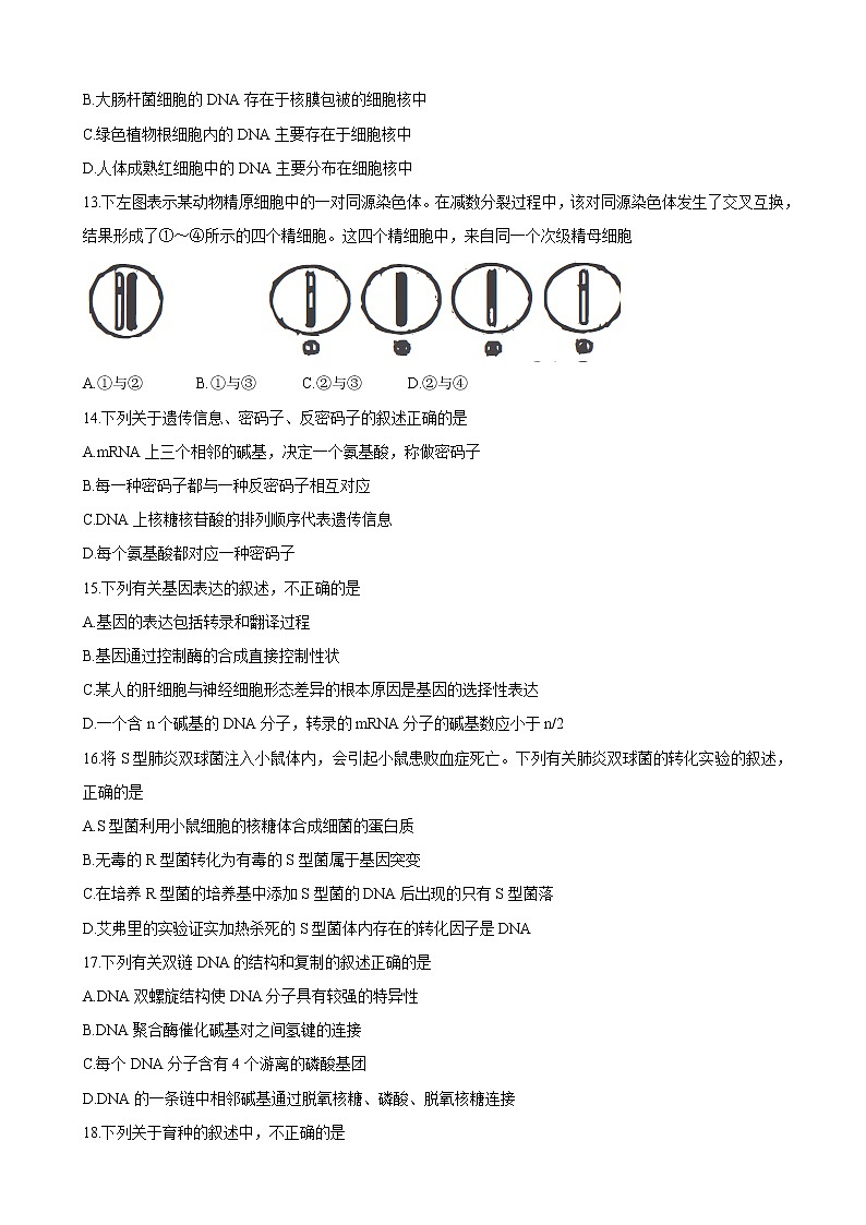 2020届吉林省吉林市普通高中高三上学期毕业班第一次调研测试 生物03