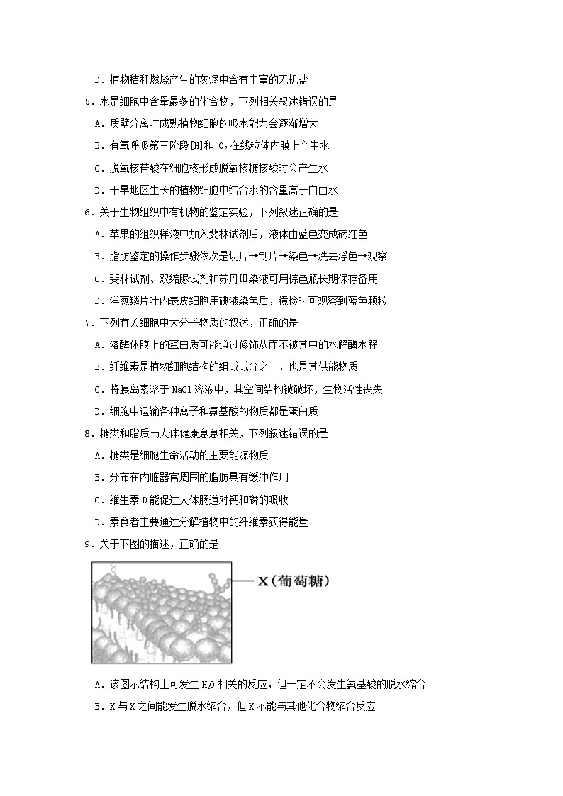 2020届吉林省延边第二中学高三上学期第一次调研生物试题02
