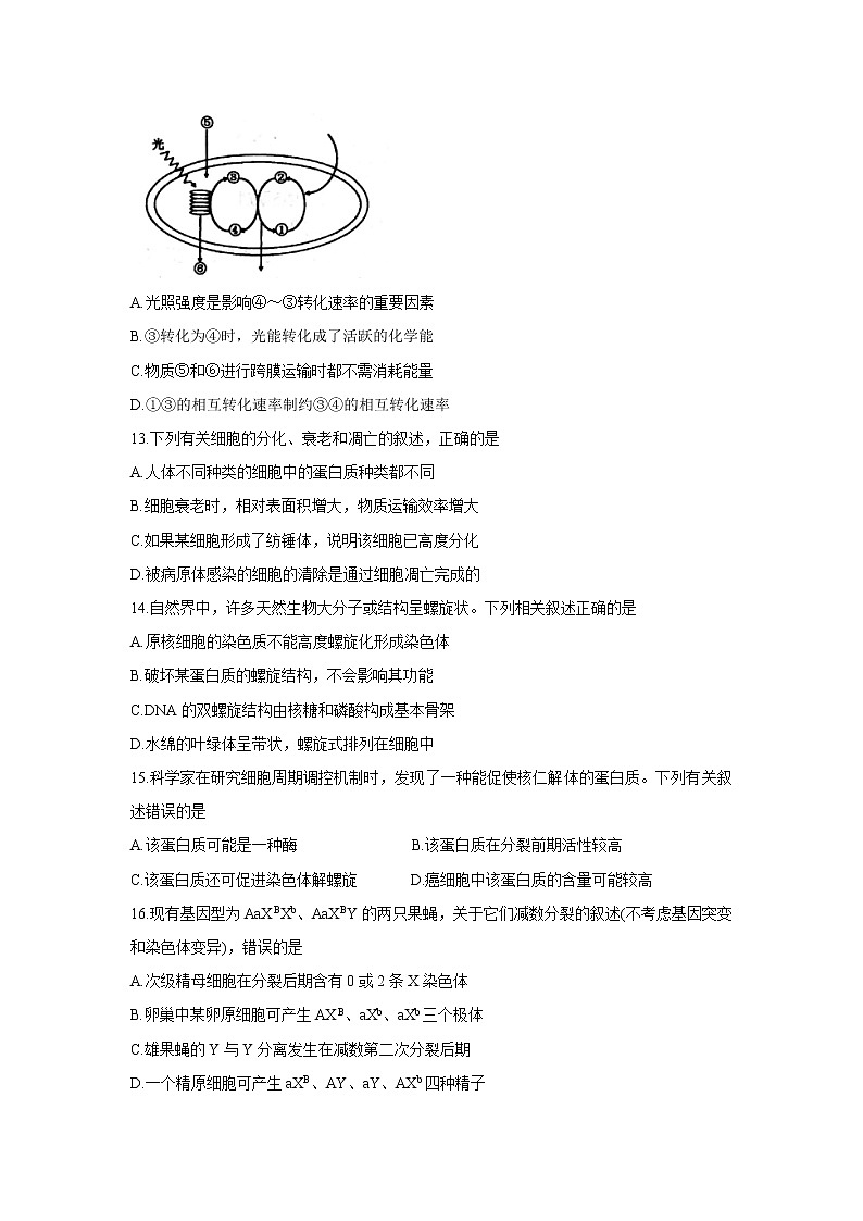 2020届吉林省长春市普通高中高三上学期质量监测（一） 生物第3页