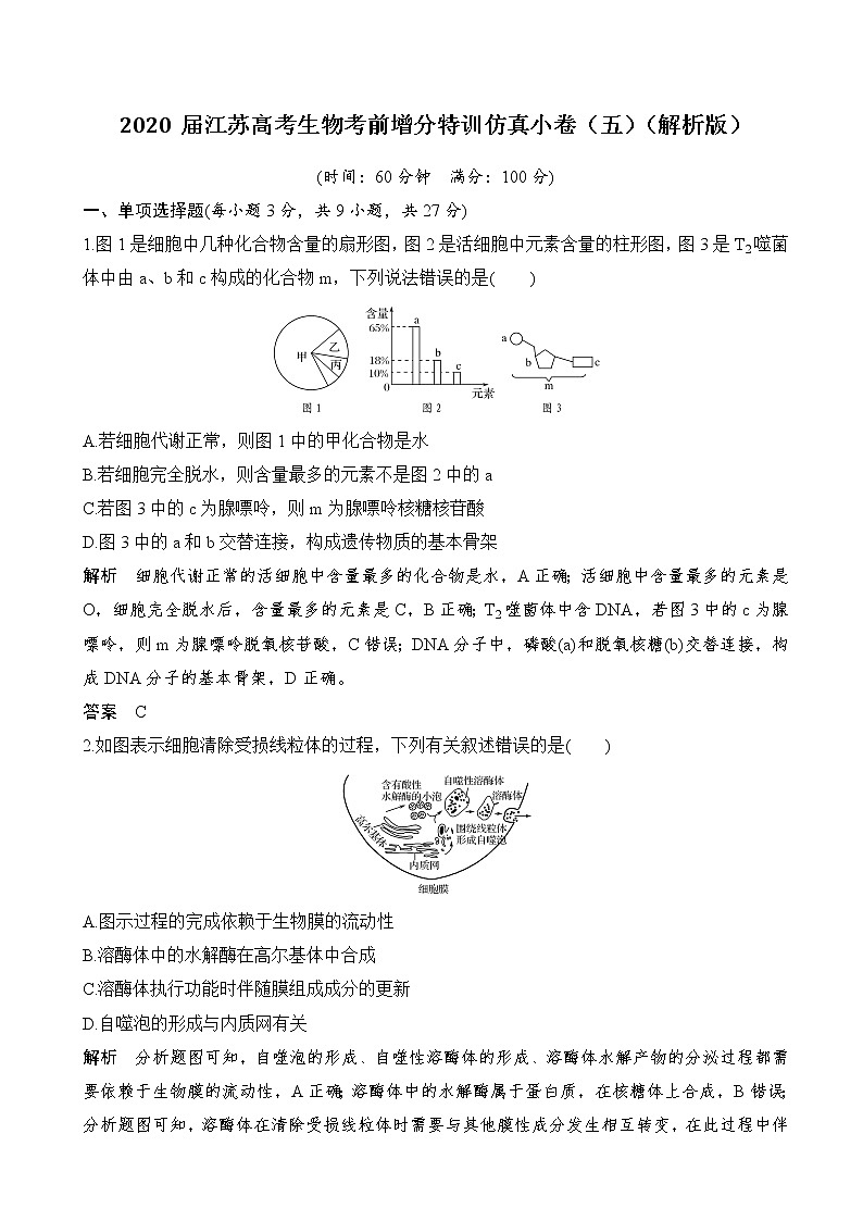 2020届江苏高考生物考前增分特训仿真小卷（五）（解析版）01