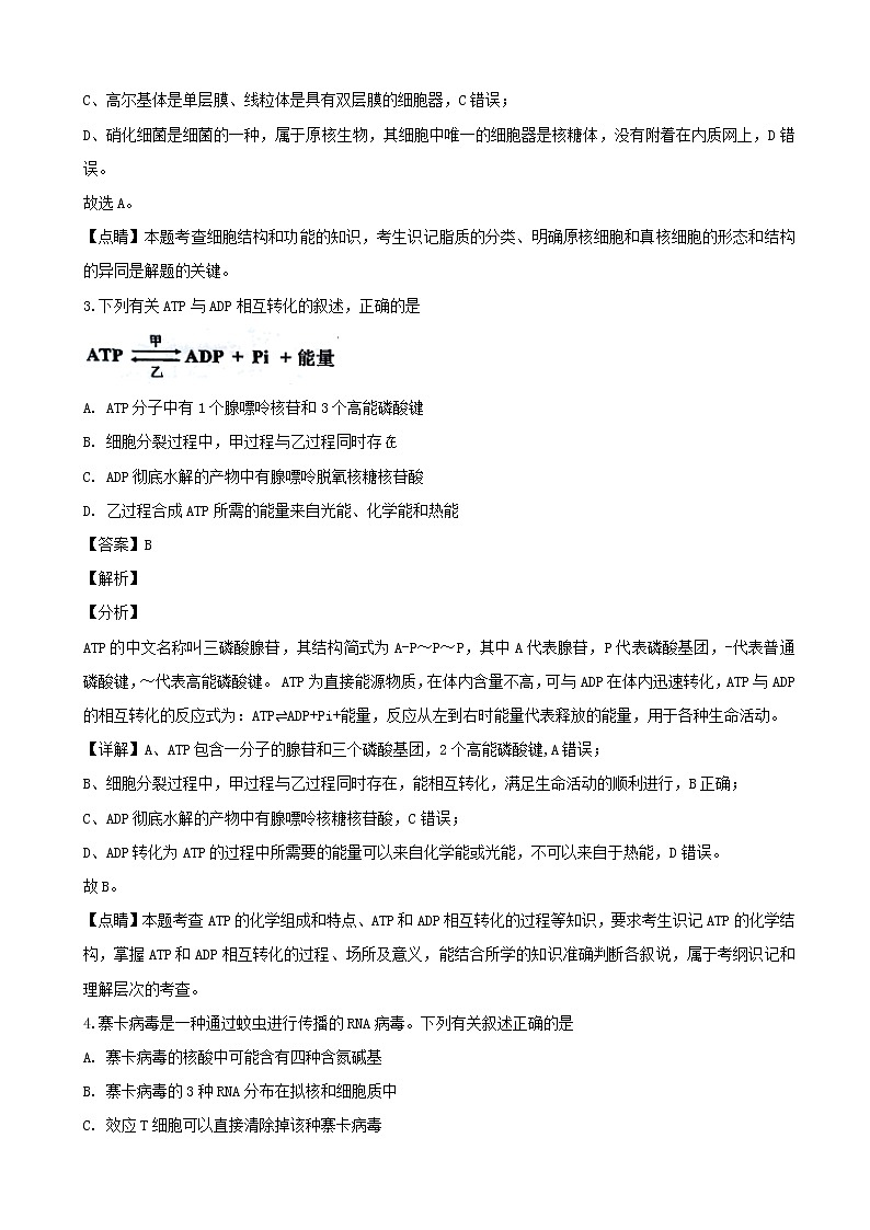 2020届江苏省南京市高三上学期第一次学情调研生物试题（解析版）02