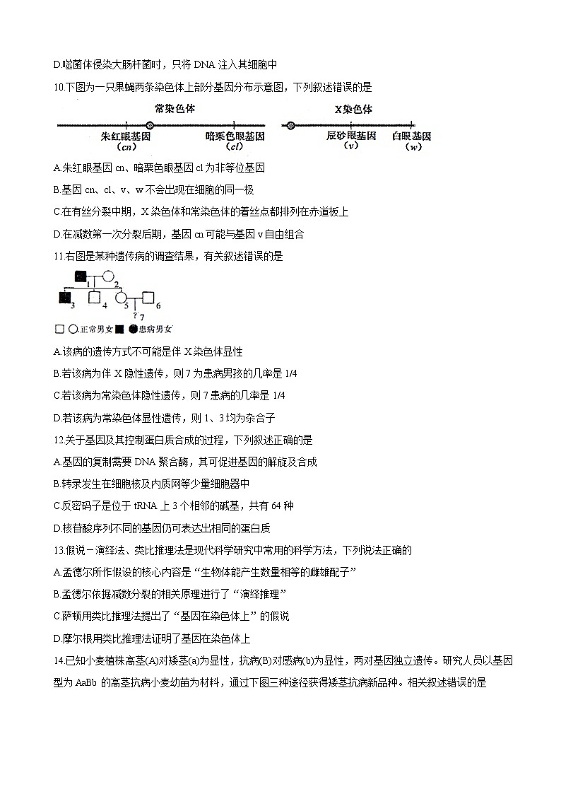 2020届江苏省南通市通州区高三第二次调研抽测试题 生物03
