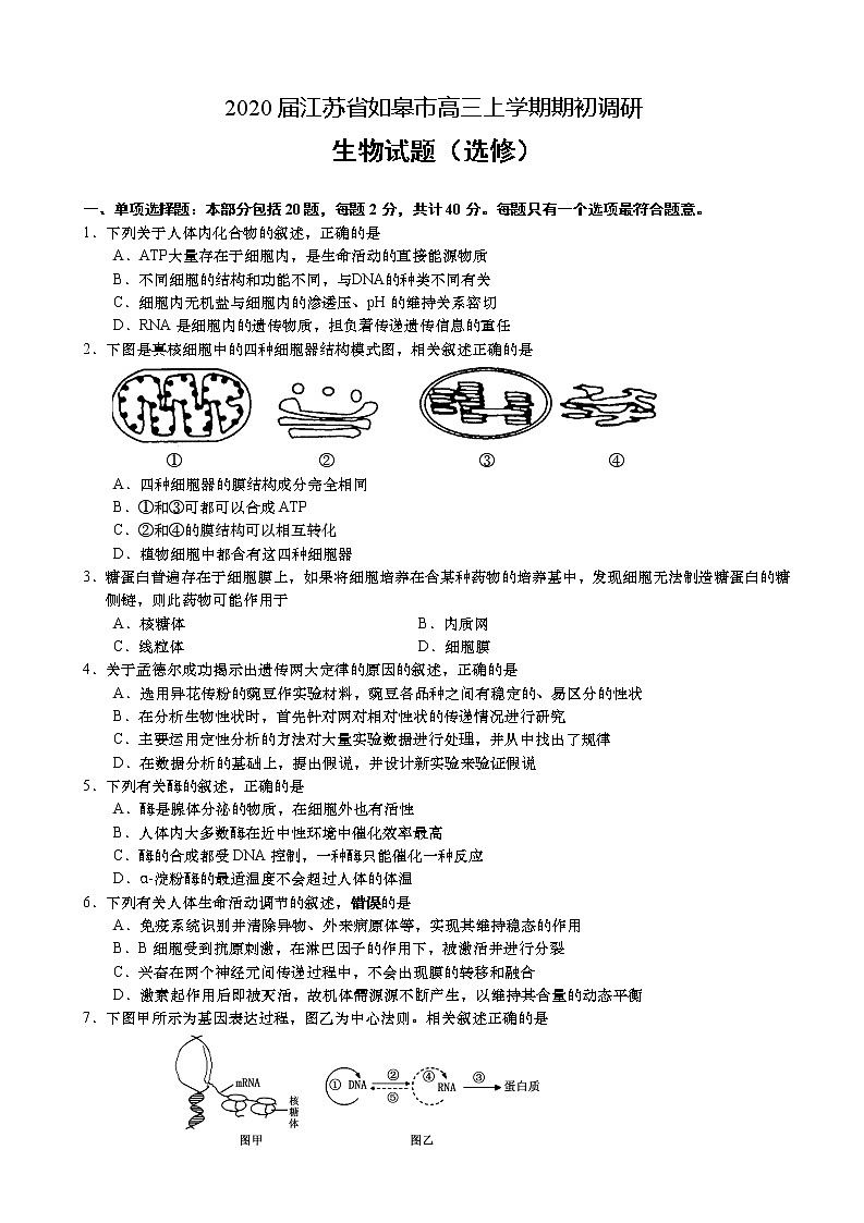 2020届江苏省如皋市高三上学期期初调研生物试题（选修）第1页