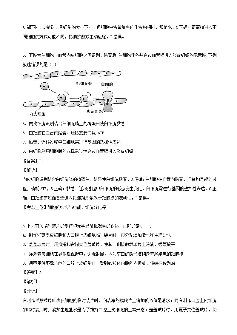 2020届江苏省宿迁市沭阳县重点自学高三上学期入学考试生物试题（解析版）03