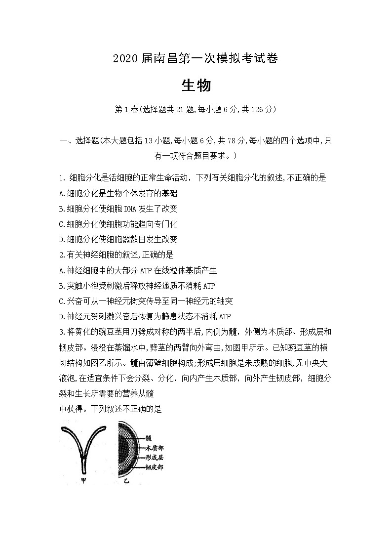 2020届江西省南昌市高三第一次模拟测试试题 生物01