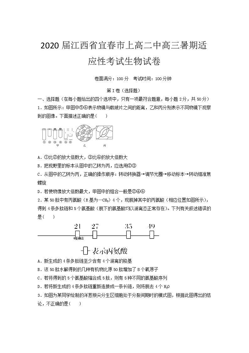 2020届江西省宜春市上高二中高三暑期适应性考试生物试卷01