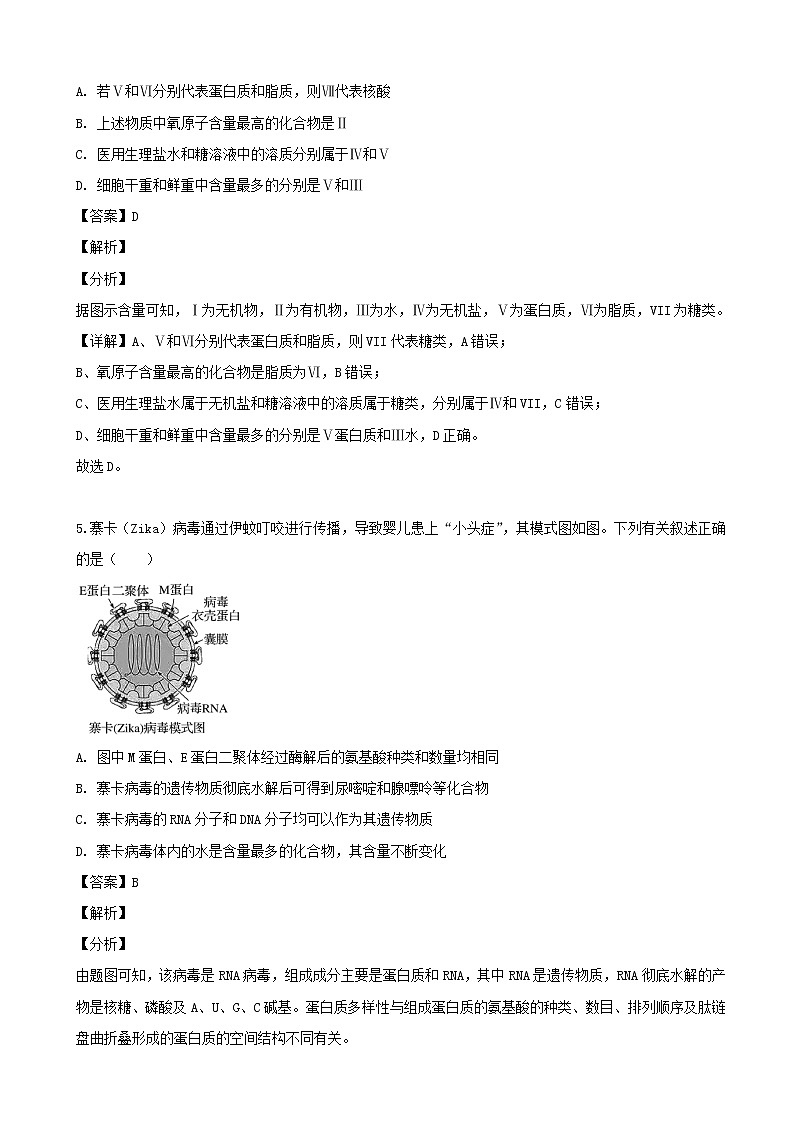2020届辽宁省沈阳市东北育才学校高三第一次摸底考试生物试题（解析版）第3页