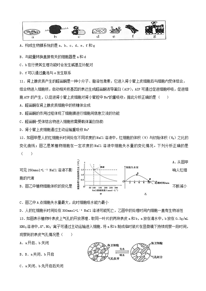 2020届辽宁省沈阳市东北育才学校高三上学期第一次模拟考试生物试题03