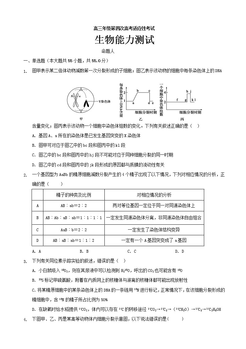 2020届宁夏石嘴山市第三中学高三第四次高考适应性考试（12月）生物试题01