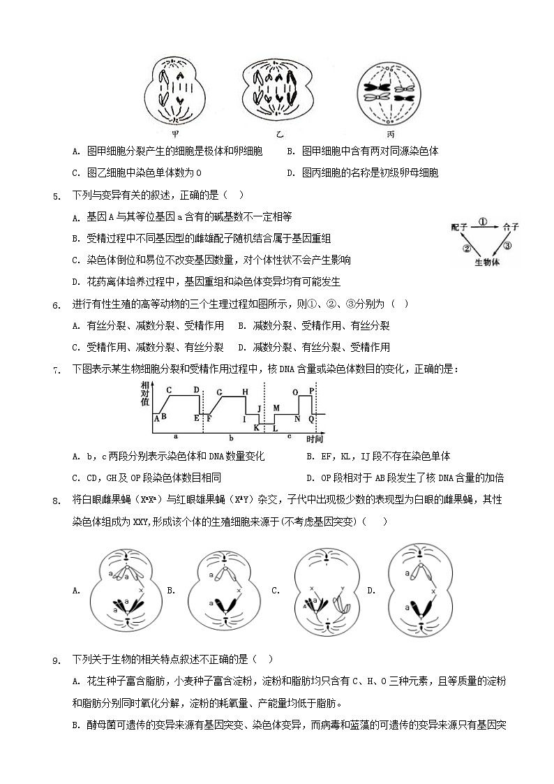 2020届宁夏石嘴山市第三中学高三第四次高考适应性考试（12月）生物试题02