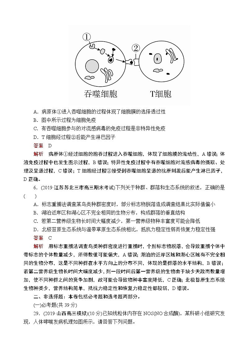 2020届全国新高考增分训练仿真模拟卷（三）生物（解析版）第3页