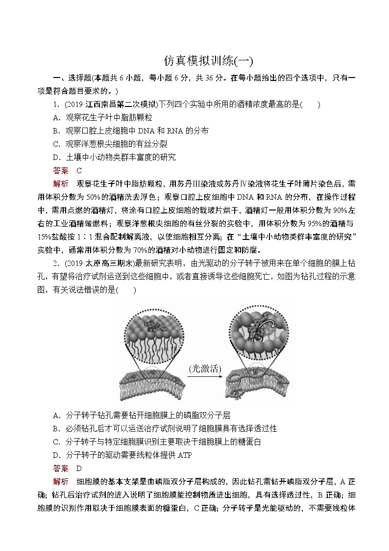 2020届全国新高考增分训练仿真模拟卷（一）生物（解析版）第1页